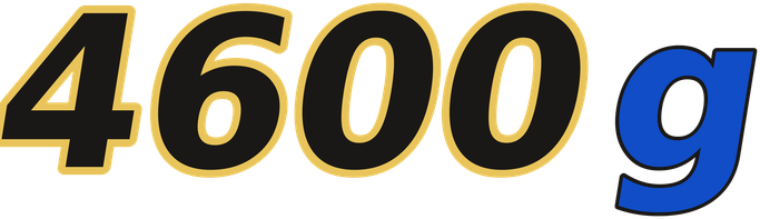 4600g logo